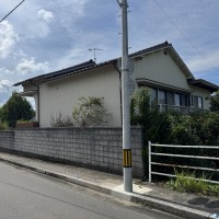 IMG_3346