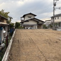 IMG_3406